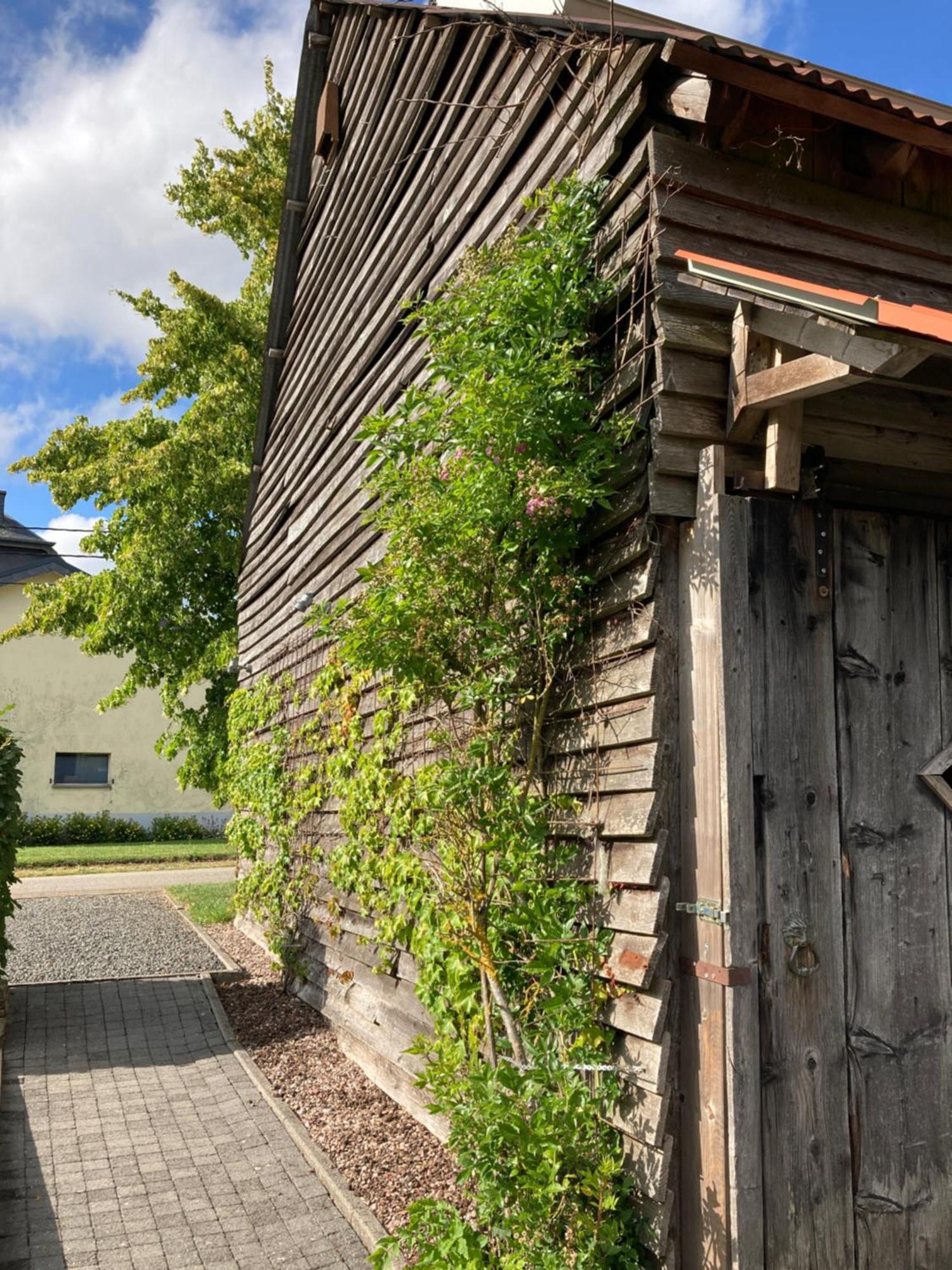 Paulis Cozy 4-bedroom - Fireplace & Sun Terrace 4 Bathrooms - Free Parking, Sauna & Linens Included * Bullange/Büllingen