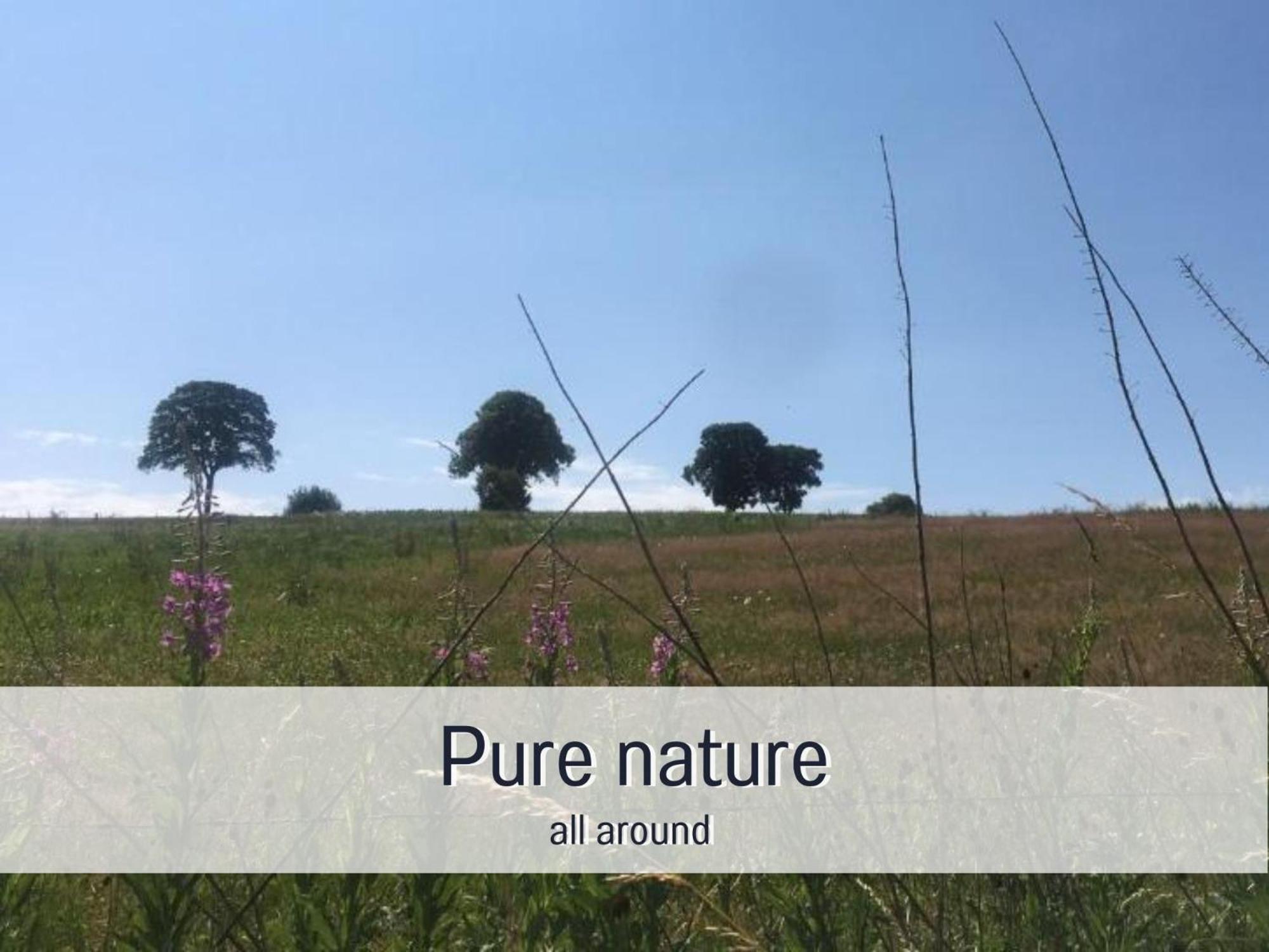 Holiday home Paulis Cozy 4-bedroom Vacation - With 4 Bathrooms Sun Terrace & Sauna, To Hike & Bike, To Chil & Meet